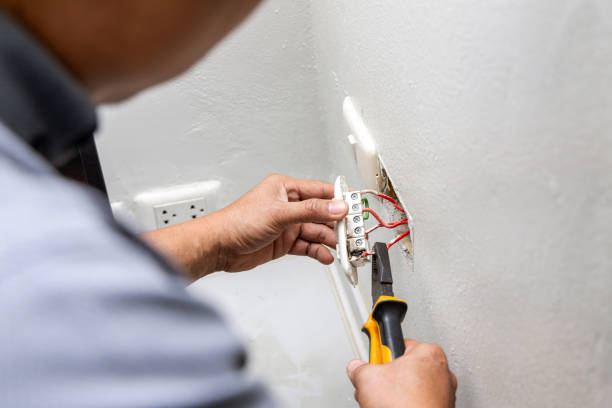Best Electric Panel Repair  in Clemson, SC